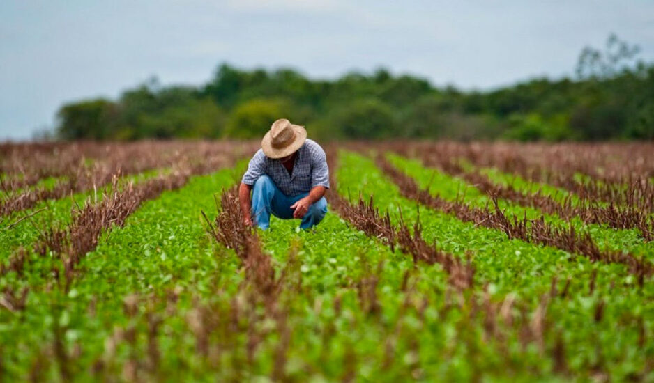 Sueldos de hasta $1 millón: Conoce las ofertas laborales en el sector agrícola