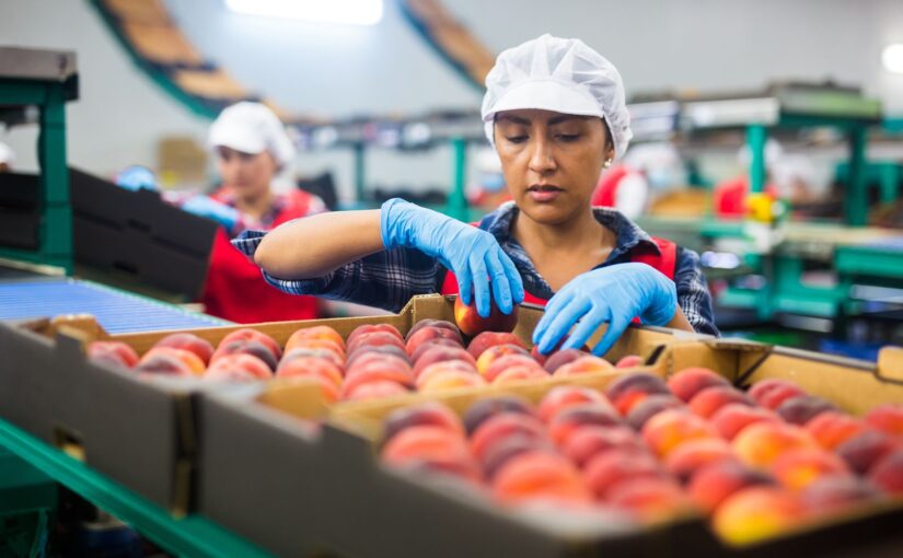 Aconcagua Foods busca más de 2 mil trabajadores: ¿Cuáles son las ofertas laborales y cómo postular?